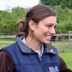 Ceri Sherlock - Specialist in Equine Surgery and Diagnostic Imaging